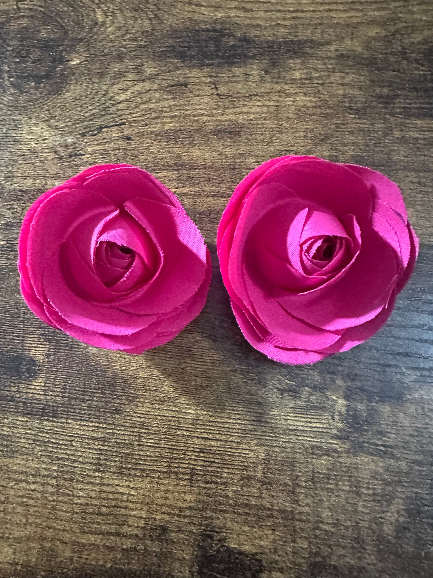 Pink Blooms